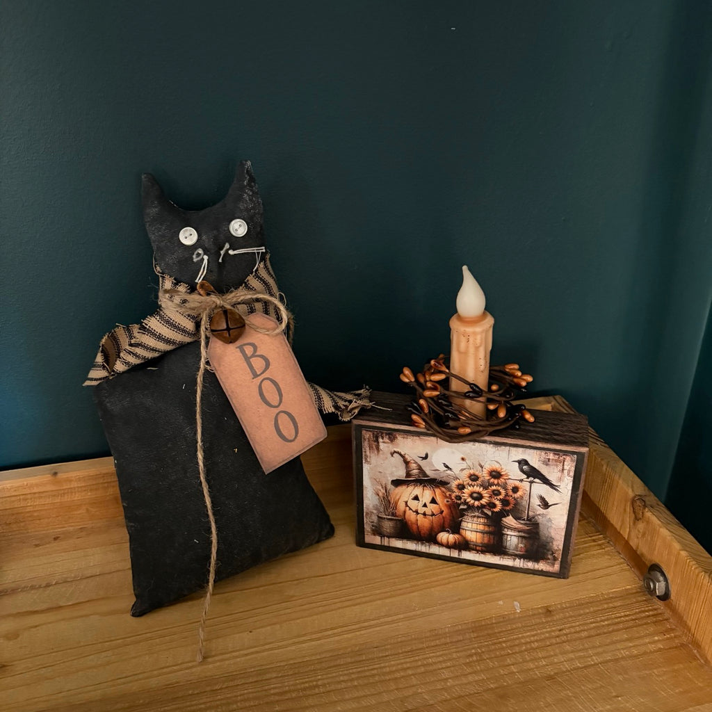 Primitive Boo Cat