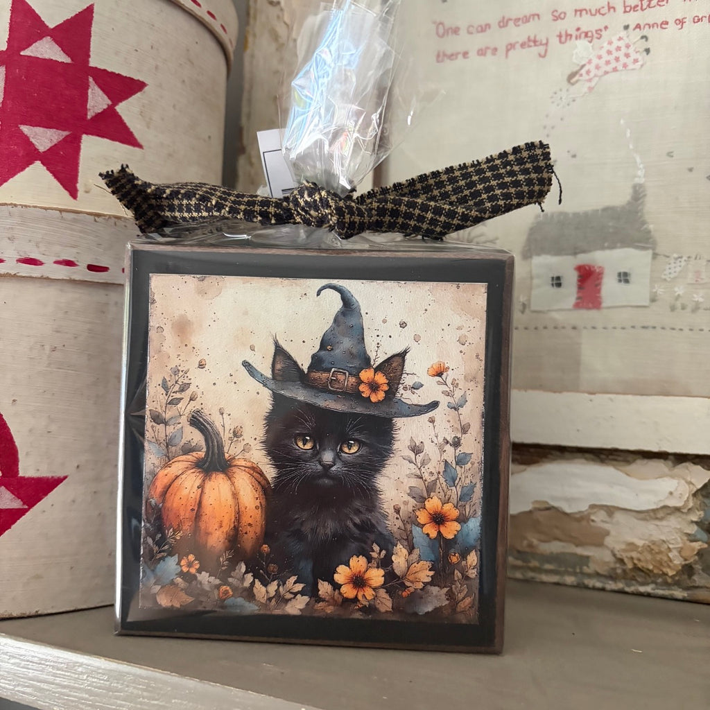 Kitten in Witches Hat Block