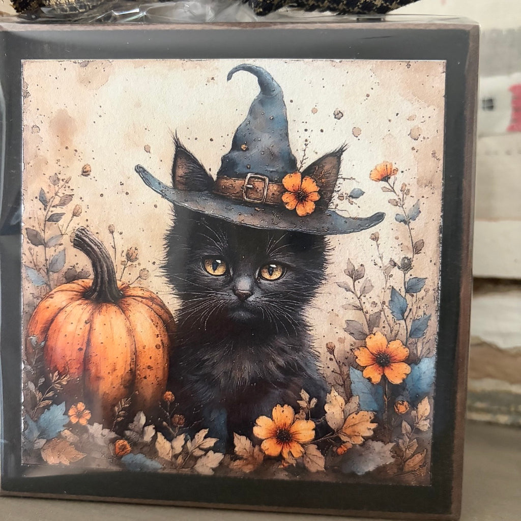 Kitten in Witches Hat Block