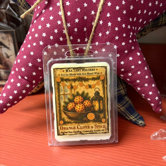 Orange Clove & Spice Soy Mini Wax Melts