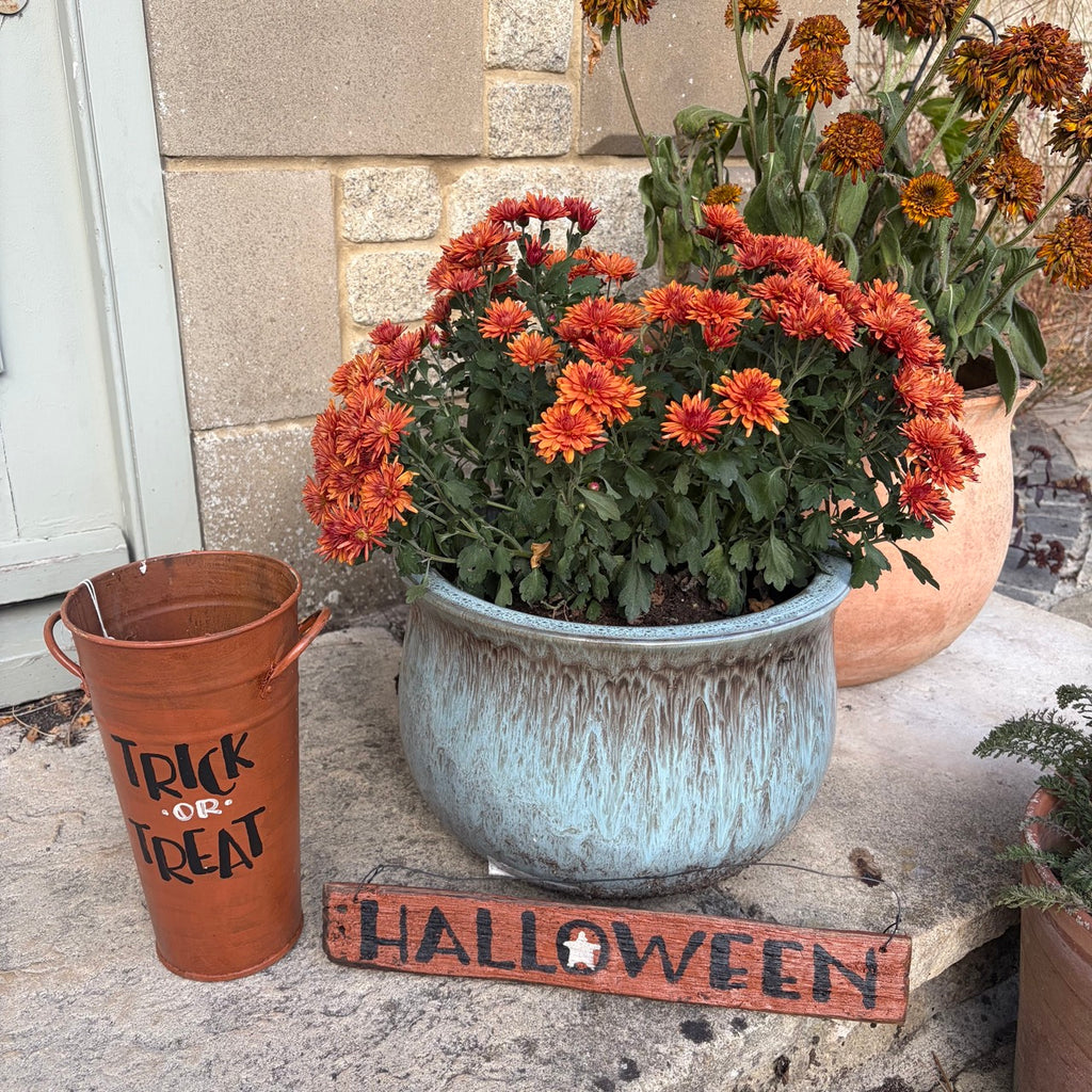 Trick or Treat Aged Tall Metal Bucket
