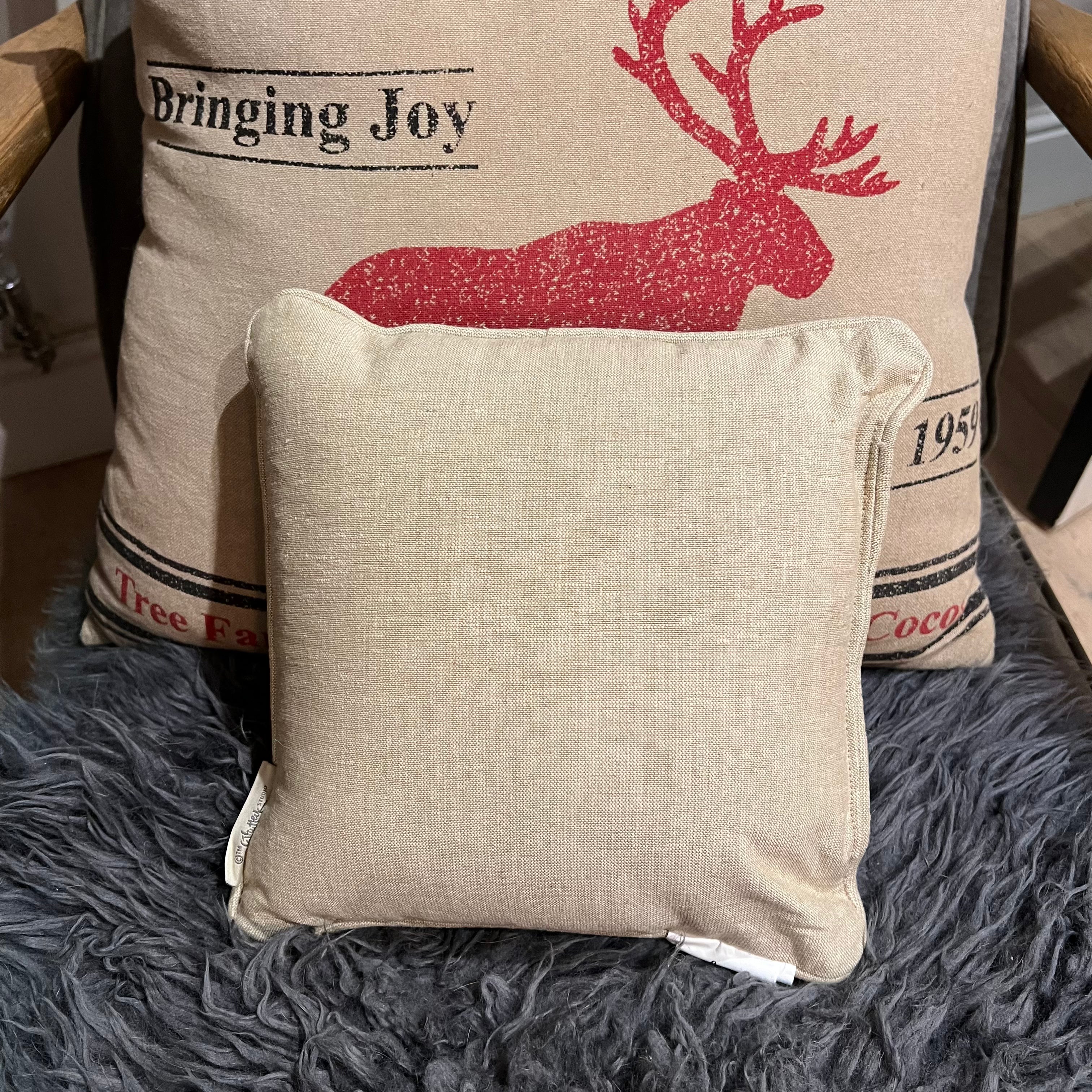 Little throw pillows hot sale