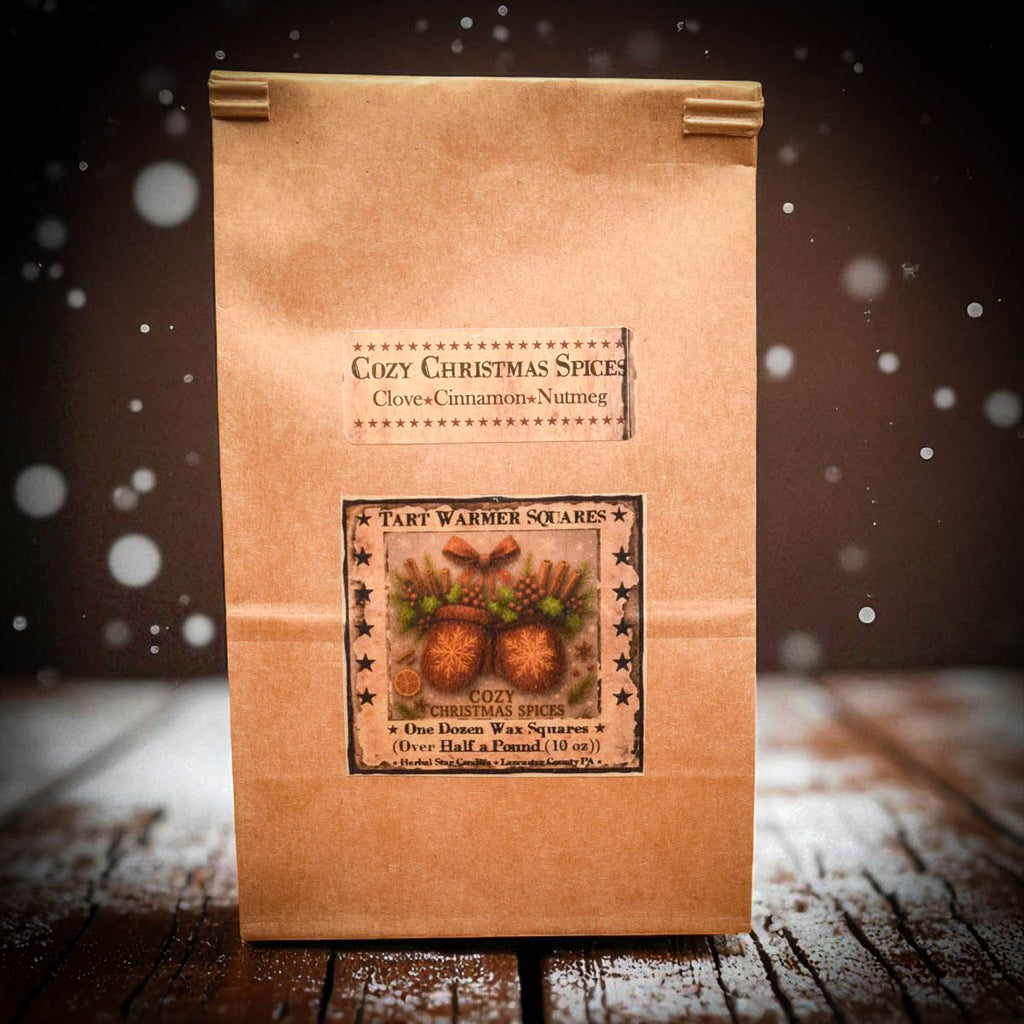 Cosy Christmas Spices Bag of 12 Soy Blend Wax Melts