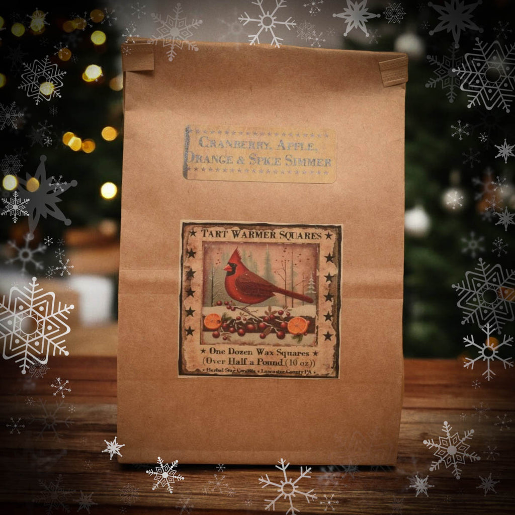 Cranberry Apple Orange Spice Blend Bag of 12 Soy Blend Wax Melts