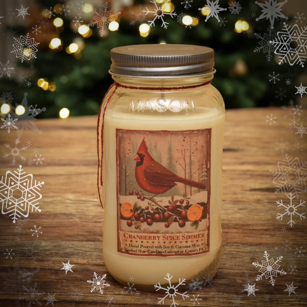 Cranberry Apple Orange Spice Simmer 24oz Soy Mason Jar Candle