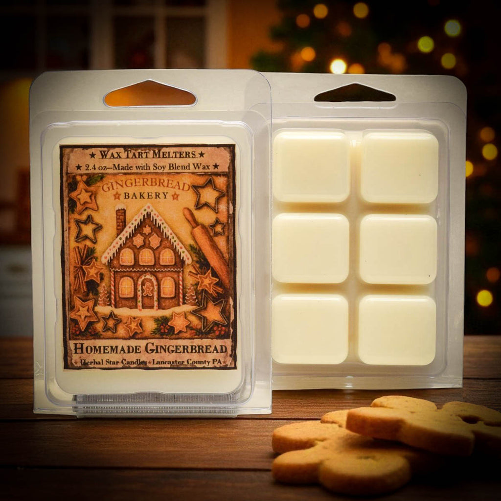 Homemade Gingerbread Soy Mini Wax Melts