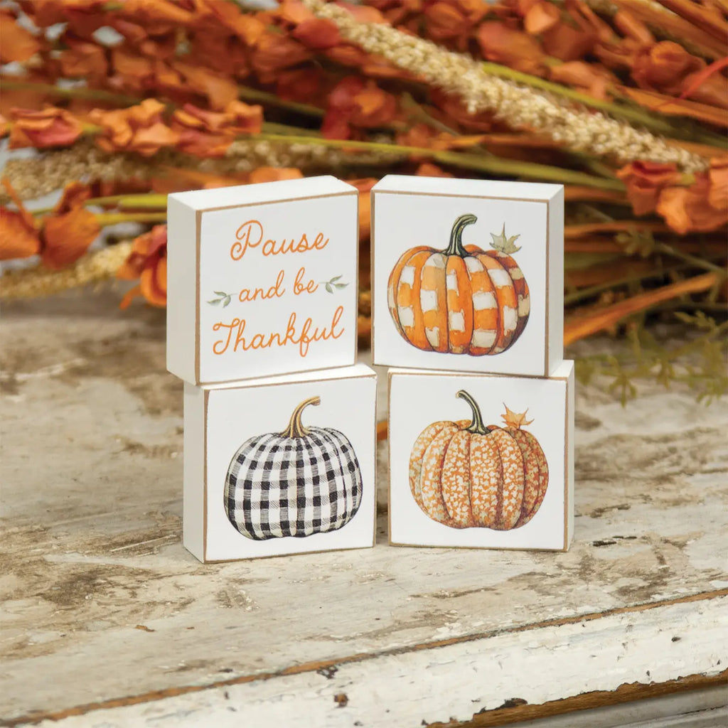 Pause and Be Thankful Block Set