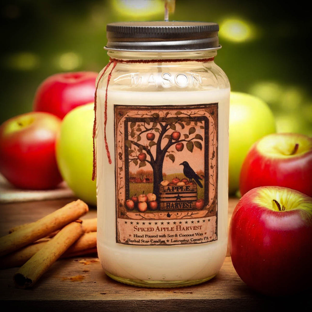 XL 24oz Spiced Apple Harvest Soy Mason Jar Candle