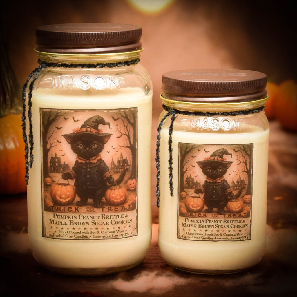 XL 24oz Trick or Treat Soy Mason Jar Candle
