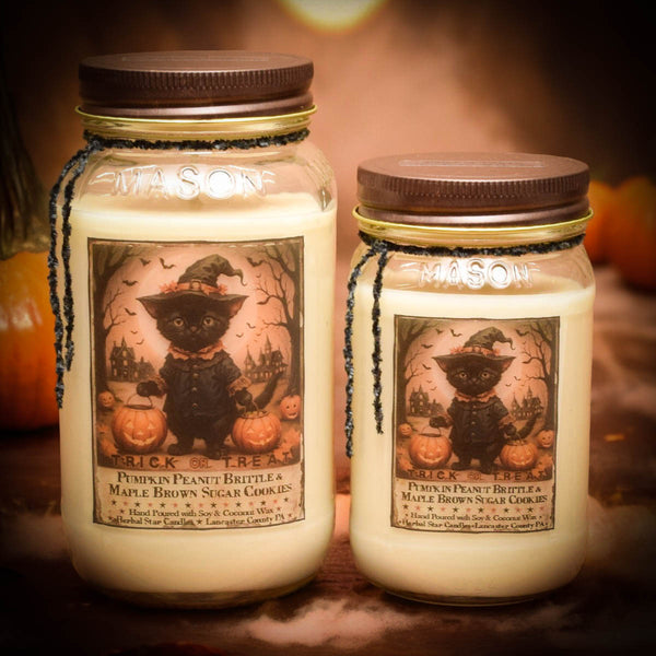 XL 24oz Trick or Treat Soy Mason Jar Candle