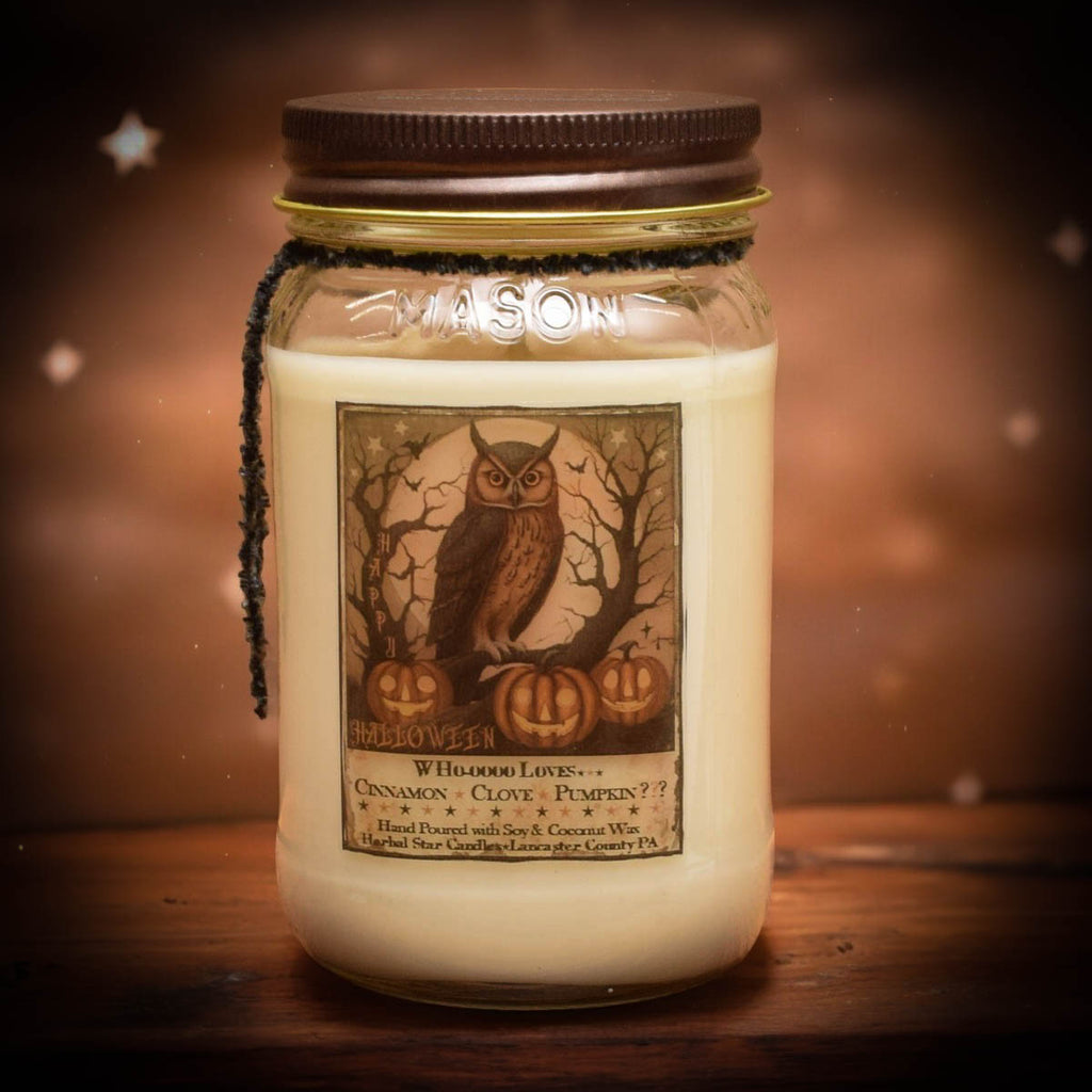 Cinnamon Clove Pumpkin Owl Soy Mason Jar Candle