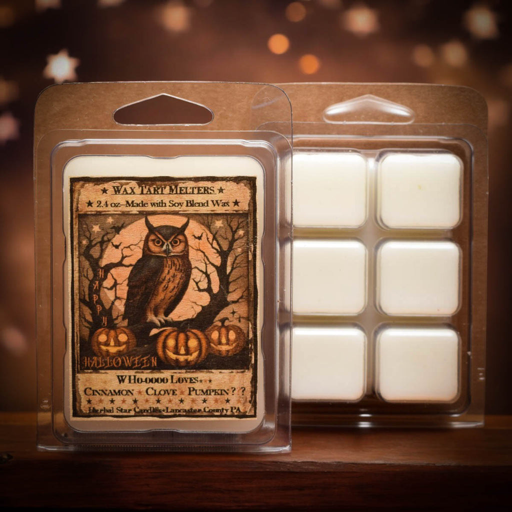 Who-ooo Loves Cinnamon Clove Pumpkin Soy Mini Wax Melts