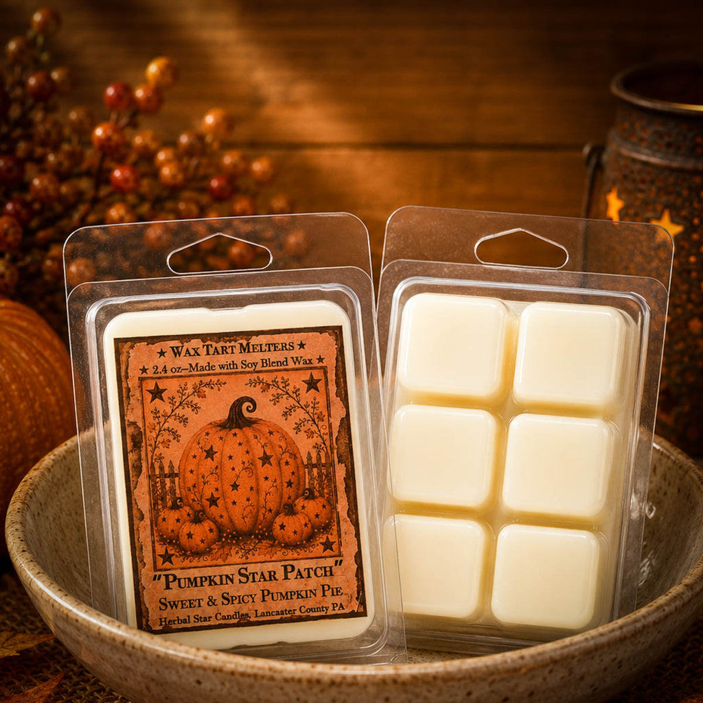 Pumpkin Star Patch Soy Mini Wax Melts