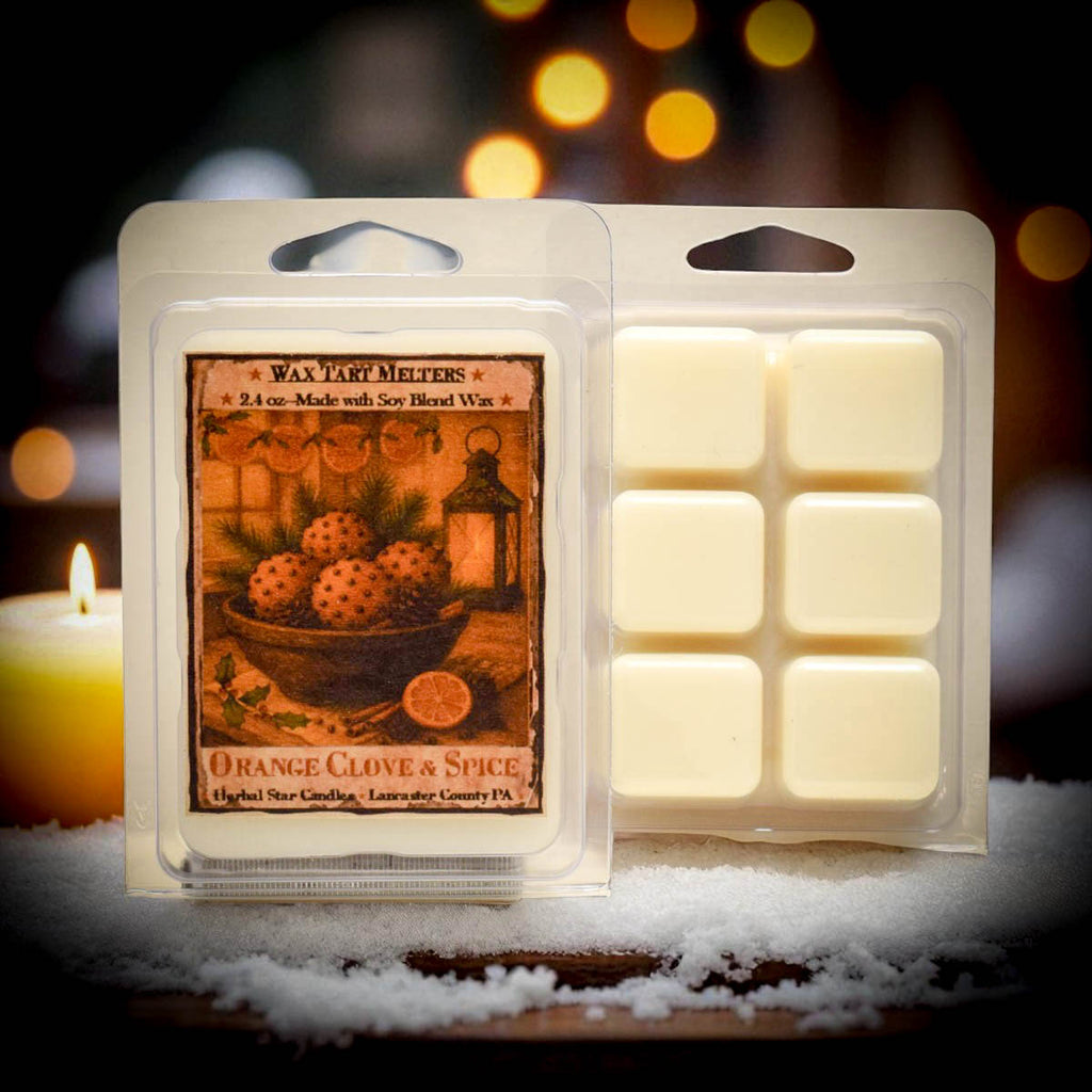 Orange Clove & Spice Soy Mini Wax Melts