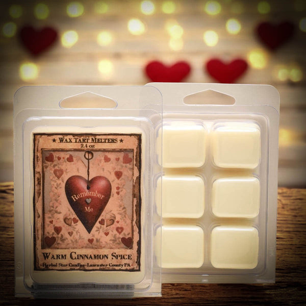 Remember Me Warm Cinnamon Spice Soy Mini Wax Melts