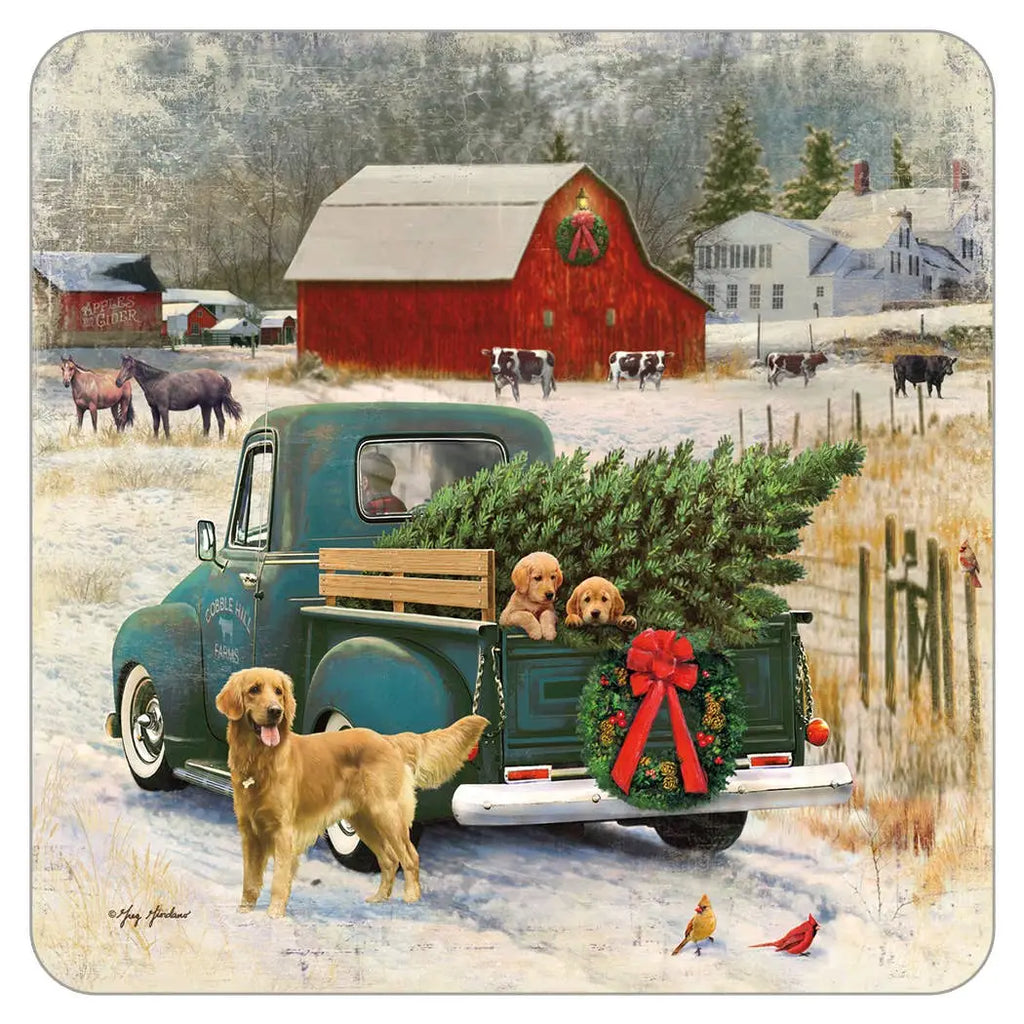 Bringing Home the Tree Coaster