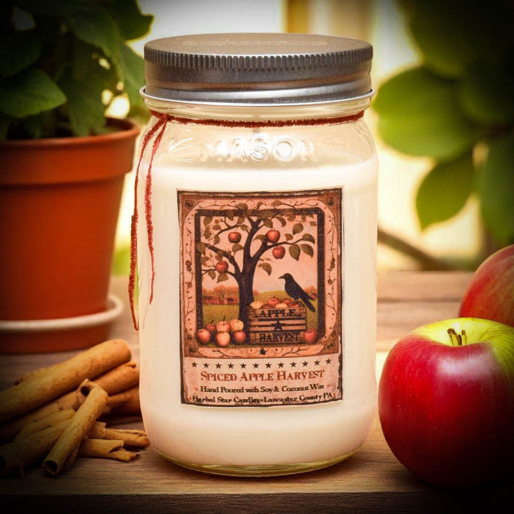 Spiced Apple Harvest Soy Mason Jar Candle