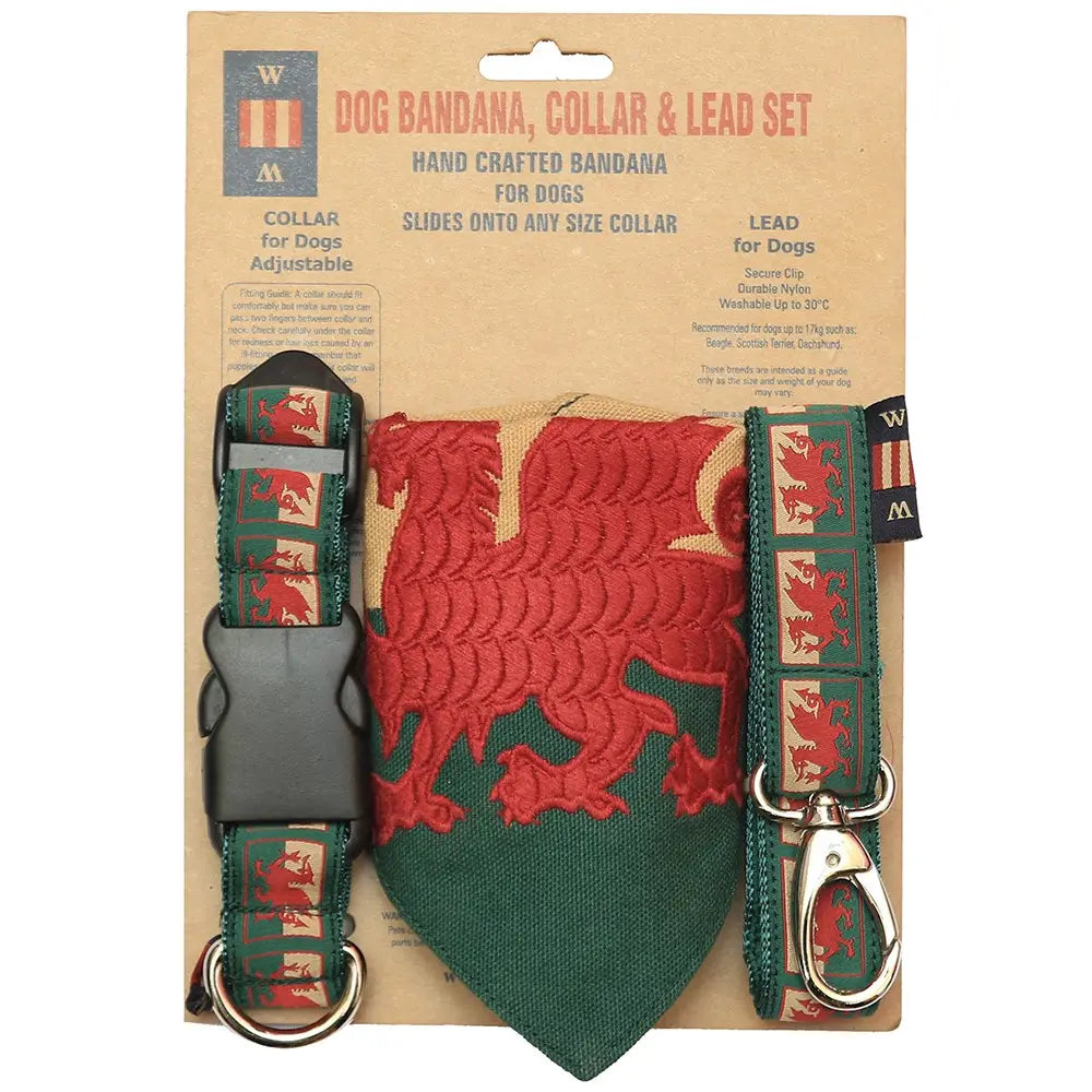 Welsh Dragon Dog Lead, Collar and Bandana Set