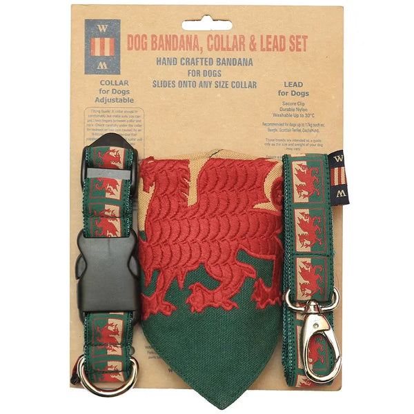 Welsh Dragon Dog Lead, Collar and Bandana Set