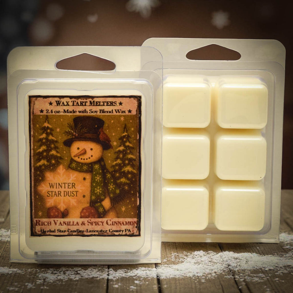 Winter Star Dust Cinnamon Vanilla Soy Mini Wax Melts