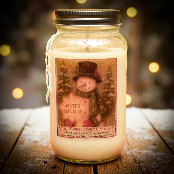 Winter Star Dust Cinnamon Vanilla 24oz Soy Mason Jar Candle